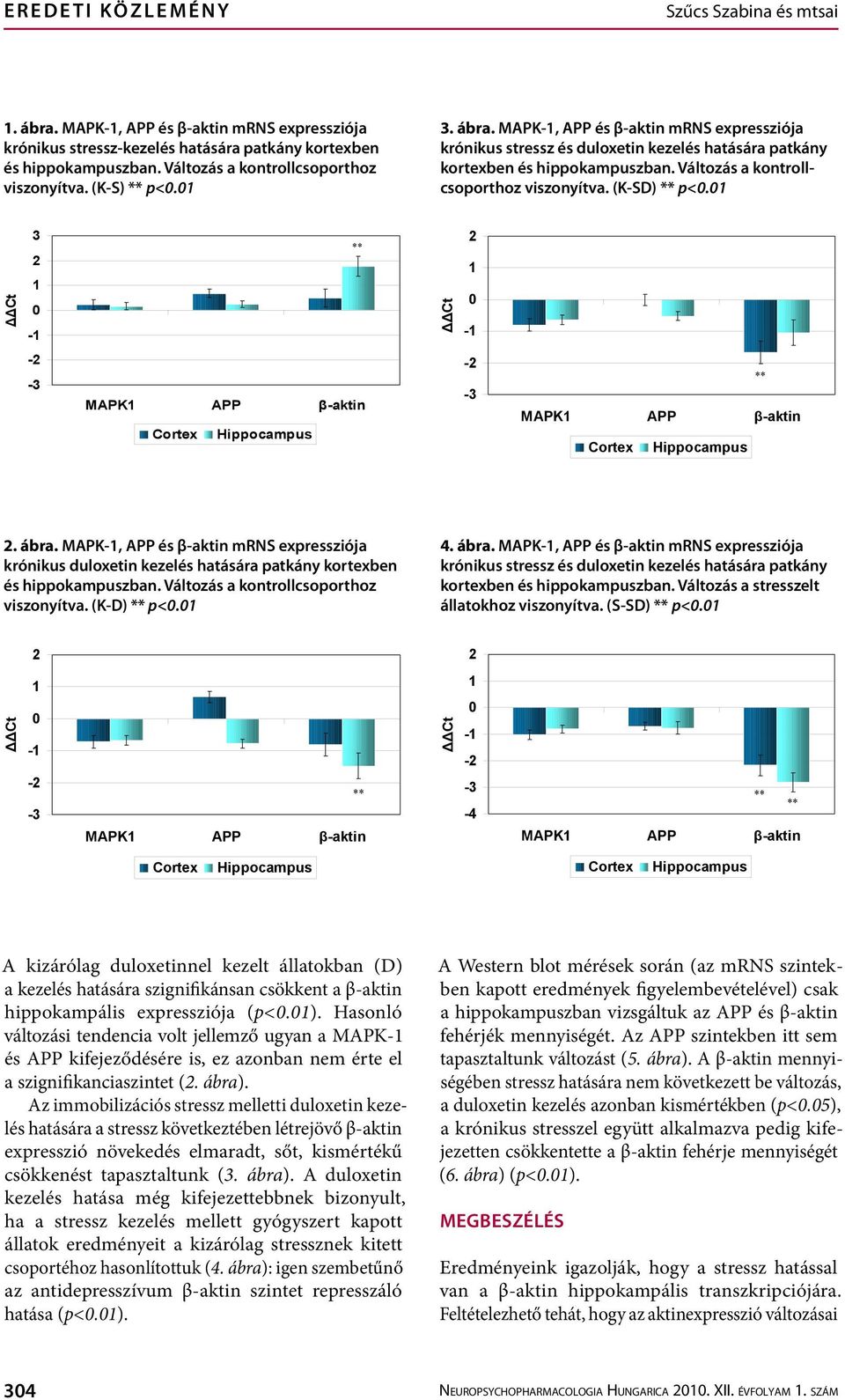 Változás a kontrollcsoporthoz viszonyítva. (K-SD) p<. 3 - - - MAPK APP β-aktin Cortex Hippocampus - MAPK APP β-aktin Cortex Hippocampus. ábra.