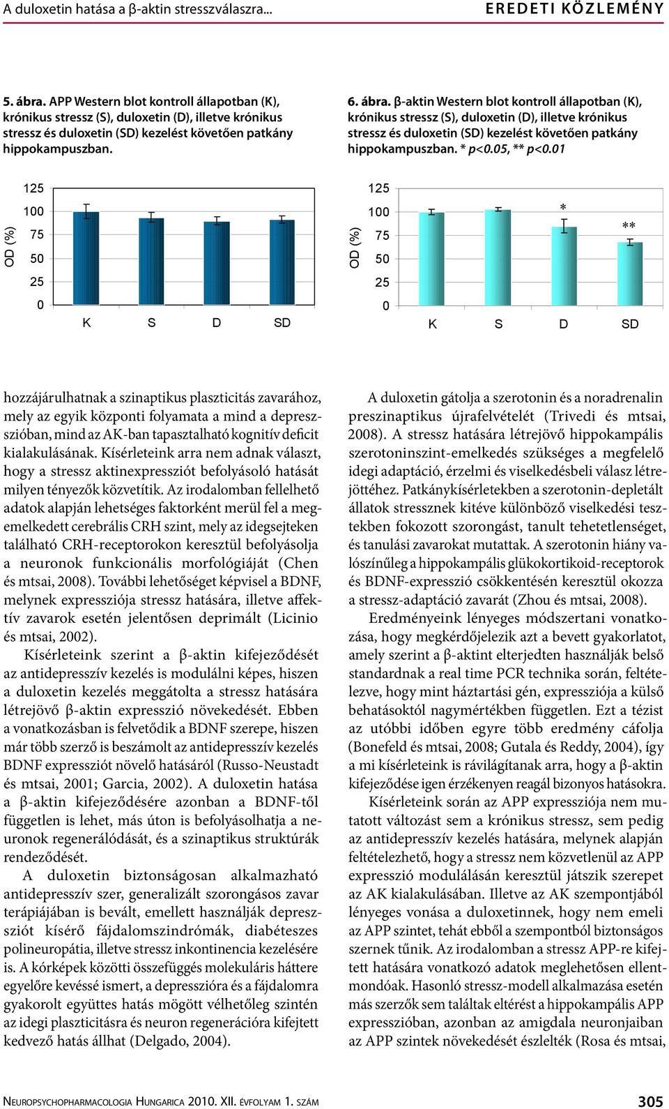 β-aktin Western blot kontroll állapotban (K), krónikus stressz (S), duloxetin (D), illetve krónikus stressz és duloxetin (SD) kezelést követően patkány hippokampuszban. * p<.5, p<.