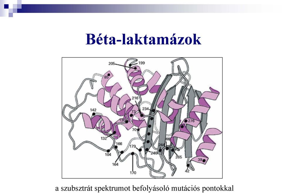 spektrumot