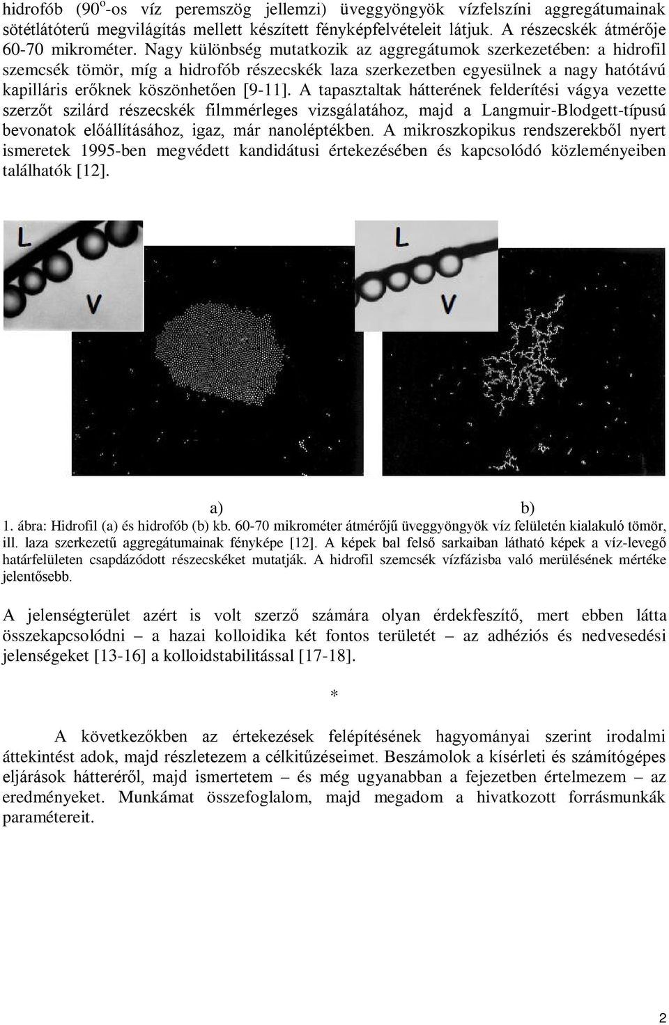 A tapasztaltak hátterének felderítési vágya vezette szerzőt szilárd részecskék filmmérleges vizsgálatához, majd a Langmuir-Blodgett-típusú bevonatok előállításához, igaz, már nanoléptékben.