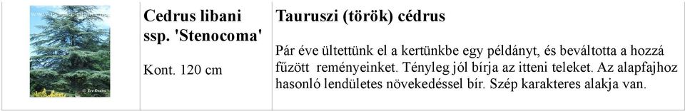 a hozzá fűzött reményeinket. Tényleg jól bírja az itteni teleket.