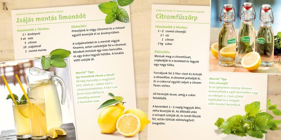 Így maradnak élesek a kések!. Mindig használja a megfelelő..kést, tehát pl.: cakkos kést.a. citromszeleteléshez. A kést csak. forró vízzel öblítse le,..lehetőleg.azonnal..a használat után.