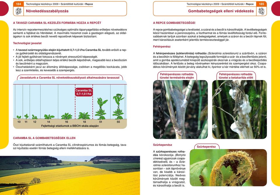 Technológiai javaslat A tavaszi szármegnyúlás elején kijuttatott 0,7 1,0 l/ha Caramba SL tovább erôsíti a repce gyökérzetét és oldalágrendszerét.