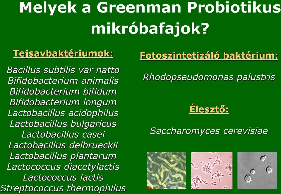 Bifidobacterium longum Lactobacillus acidophilus Lactobacillus bulgaricus Lactobacillus casei Lactobacillus
