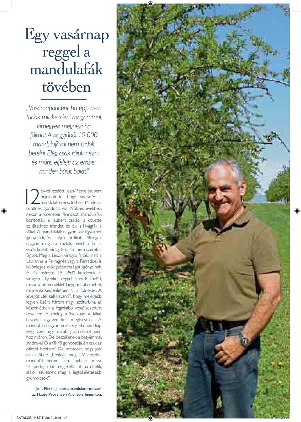 Az 1950-es években, mikor a Valensole fennsíkot mandulafák borították, a Jaubert család is követte az általános trendet, és ők is kivágták a fáikat.