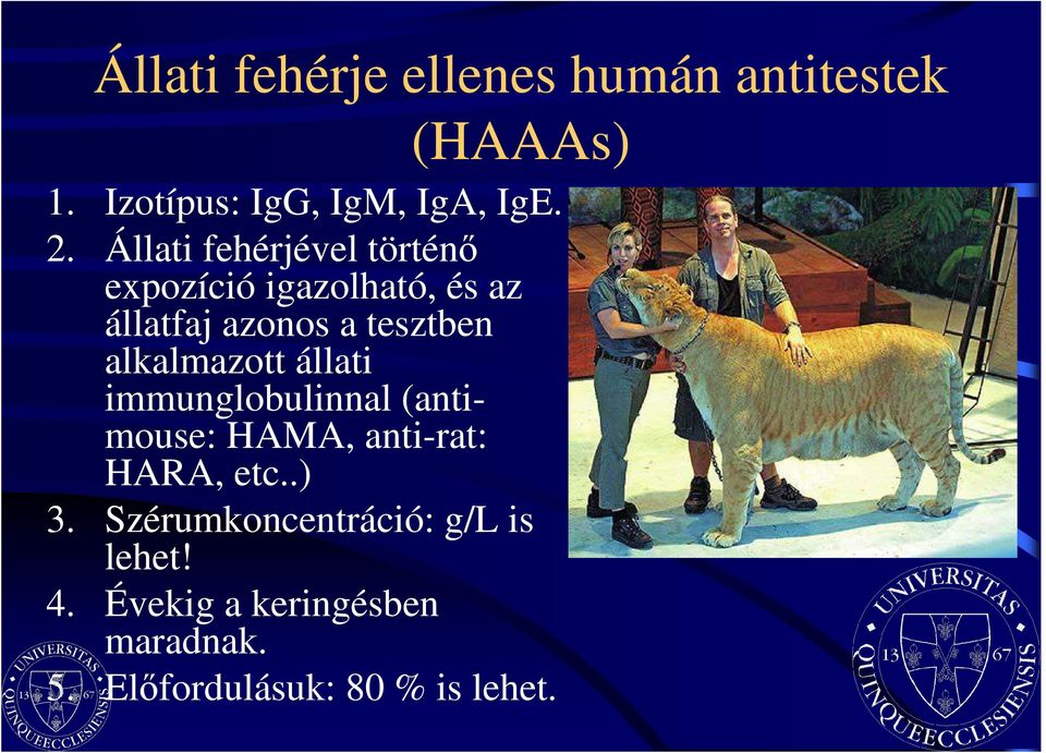 alkalmazott állati immunglobulinnal (antimouse: HAMA, anti-rat: HARA, etc..) 3.