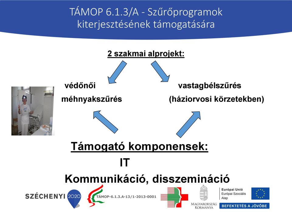 támogatására 2 szakmai alprojekt: védőnői