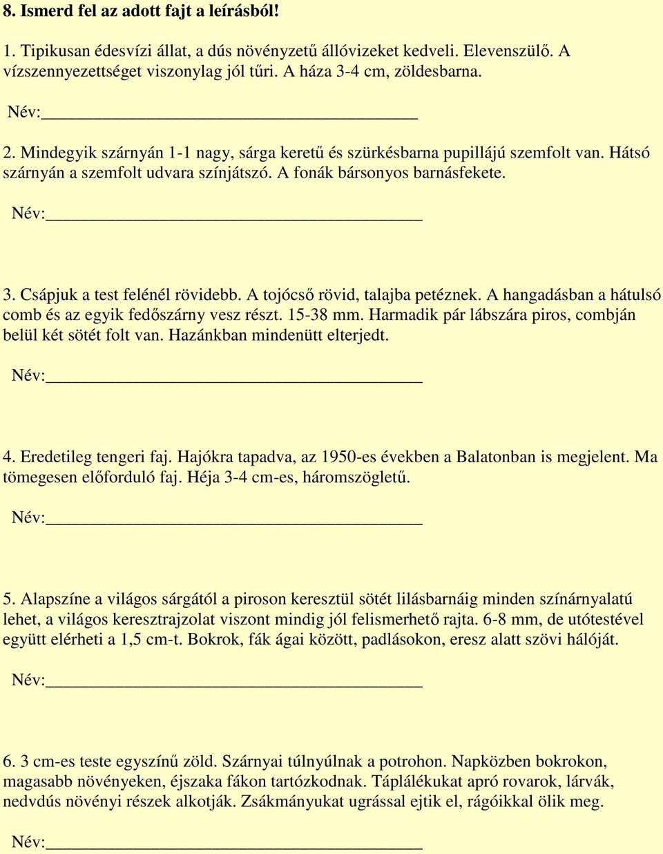 A tojócső rövid, talajba petéznek. A hangadásban a hátulsó comb és az egyik fedőszárny vesz részt. 15-38 mm. Harmadik pár lábszára piros, combján belül két sötét folt van.