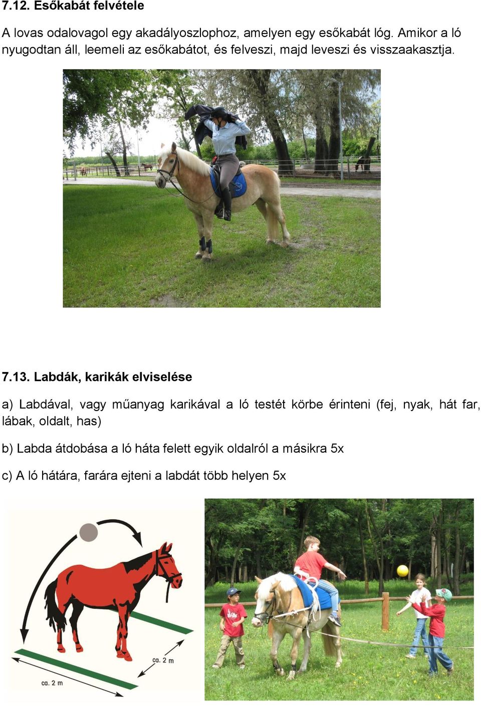 Labdák, karikák elviselése a) Labdával, vagy műanyag karikával a ló testét körbe érinteni (fej, nyak, hát