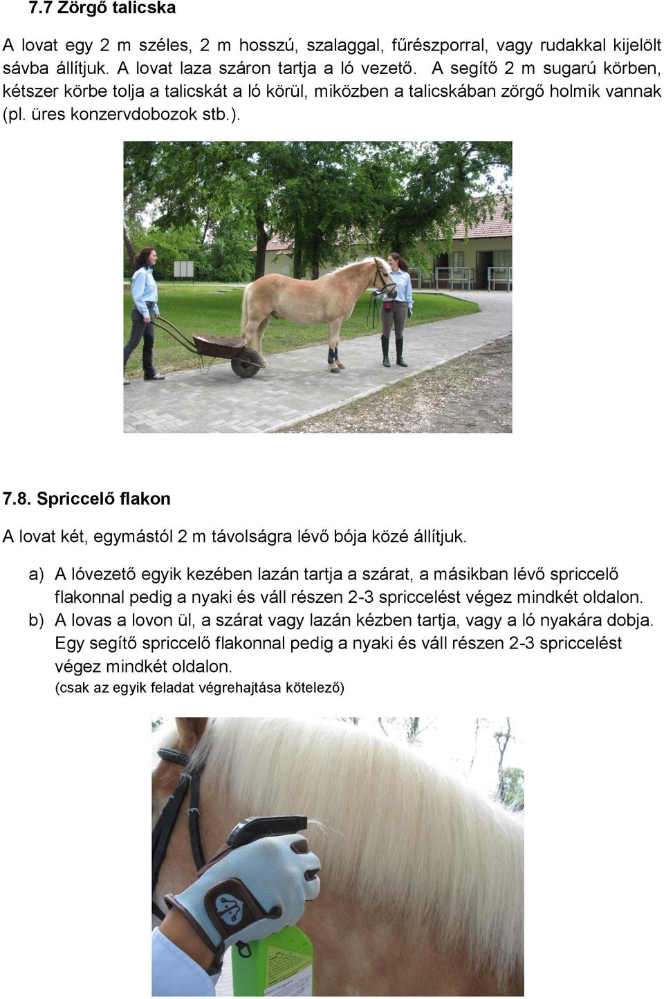 Spriccelő flakon A lovat két, egymástól 2 m távolságra lévő bója közé állítjuk.