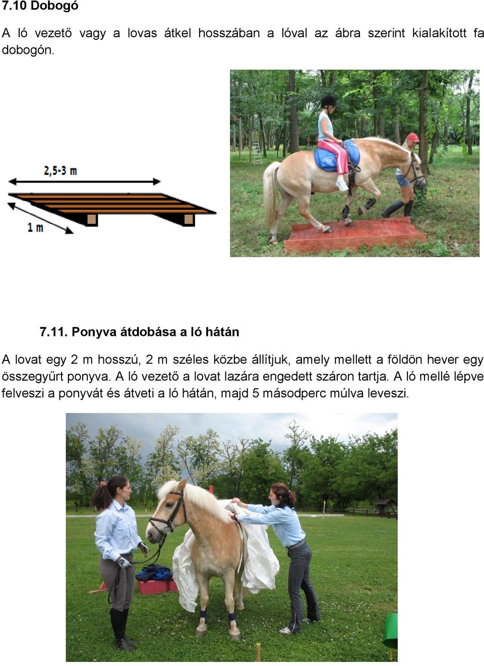 Ponyva átdobása a ló hátán A lovat egy 2 m hosszú, 2 m széles közbe állítjuk, amely mellett a