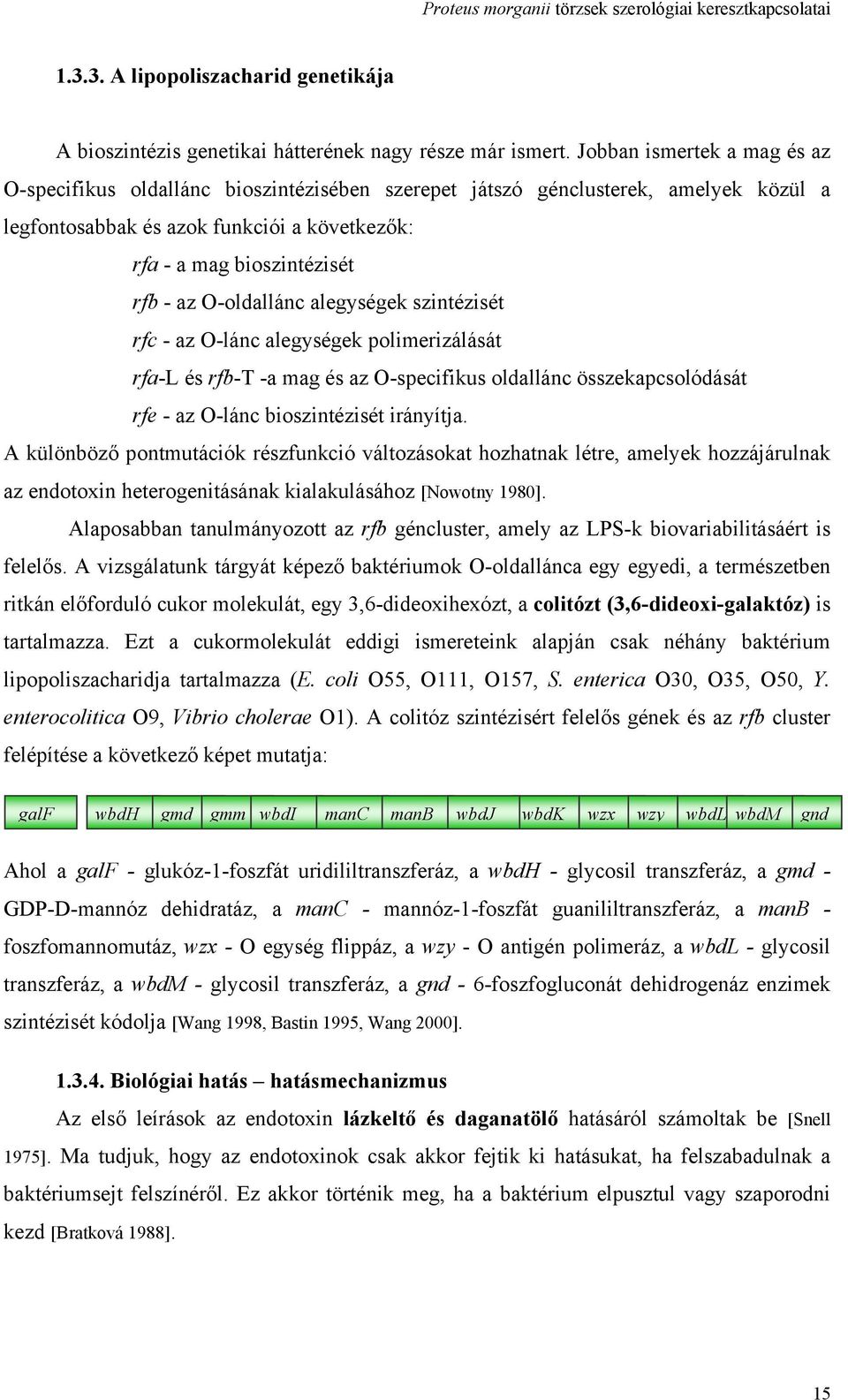 O-oldallánc alegységek szintézisét rfc - az O-lánc alegységek polimerizálását rfa-l és rfb-t -a mag és az O-specifikus oldallánc összekapcsolódását rfe - az O-lánc bioszintézisét irányítja.