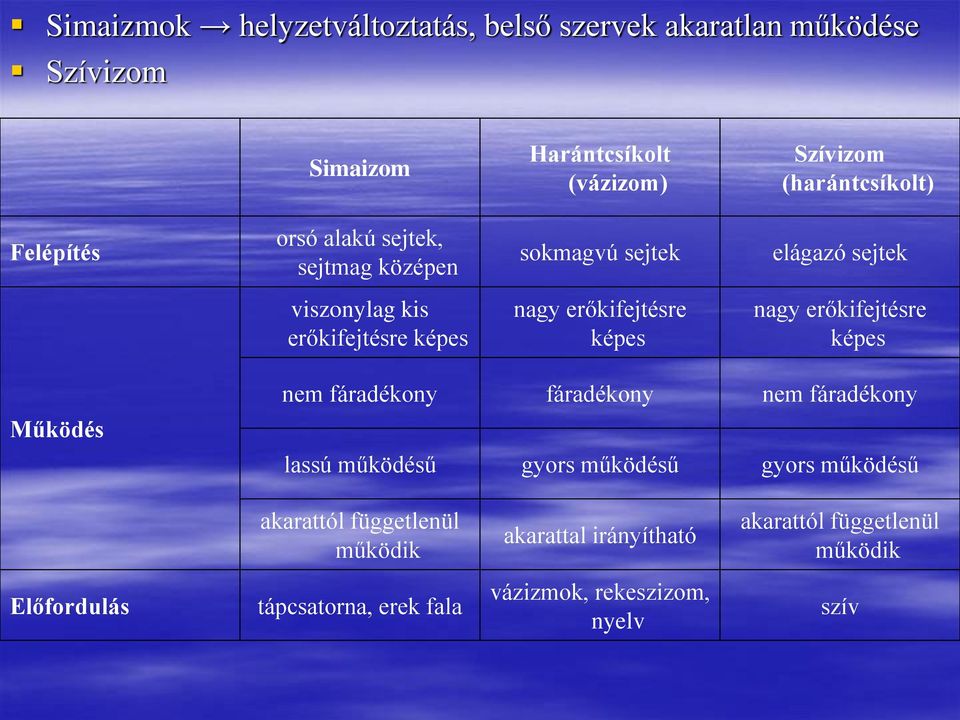 képes nagy erőkifejtésre képes Működés nem fáradékony fáradékony nem fáradékony lassú működésű gyors működésű gyors működésű