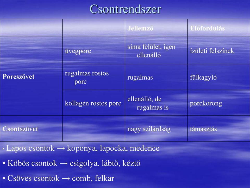 ellenálló, de rugalmas is porckorong Csontszövet nagy szilárdság támasztás Lapos