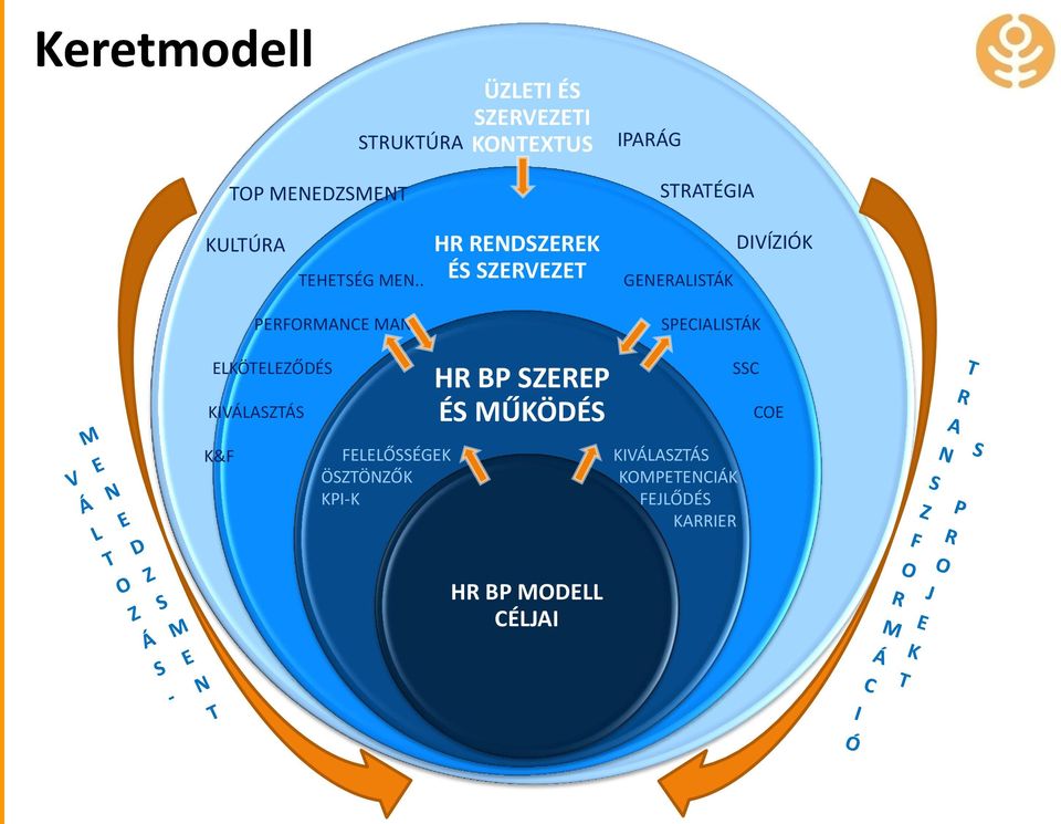 . HR RENDSZEREK ÉS SZERVEZET GENERALISTÁK DIVÍZIÓK PERFORMANCE MAN.