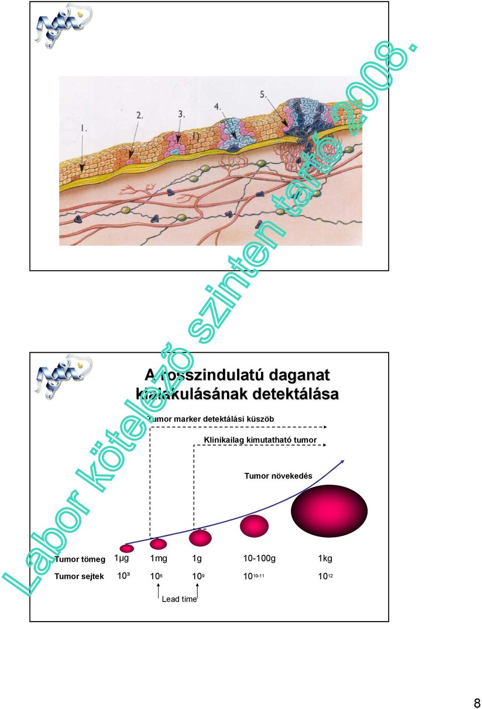 A keringı tumor markerek klinikai alkalmazásának aktuális kérdései és  irányelvei - PDF Free Download