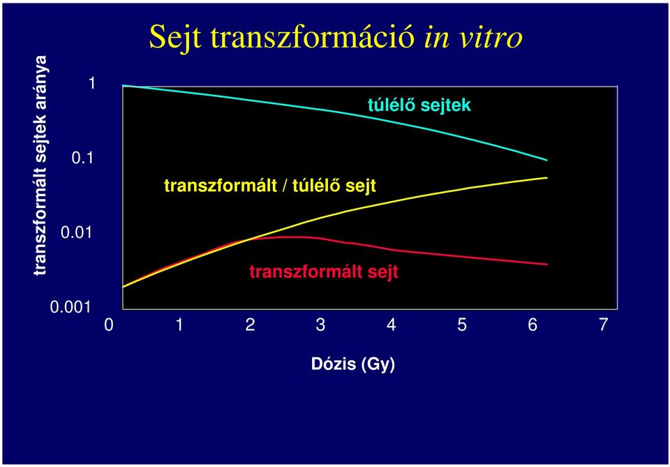túlélısejtek transzformált / túlélısejt
