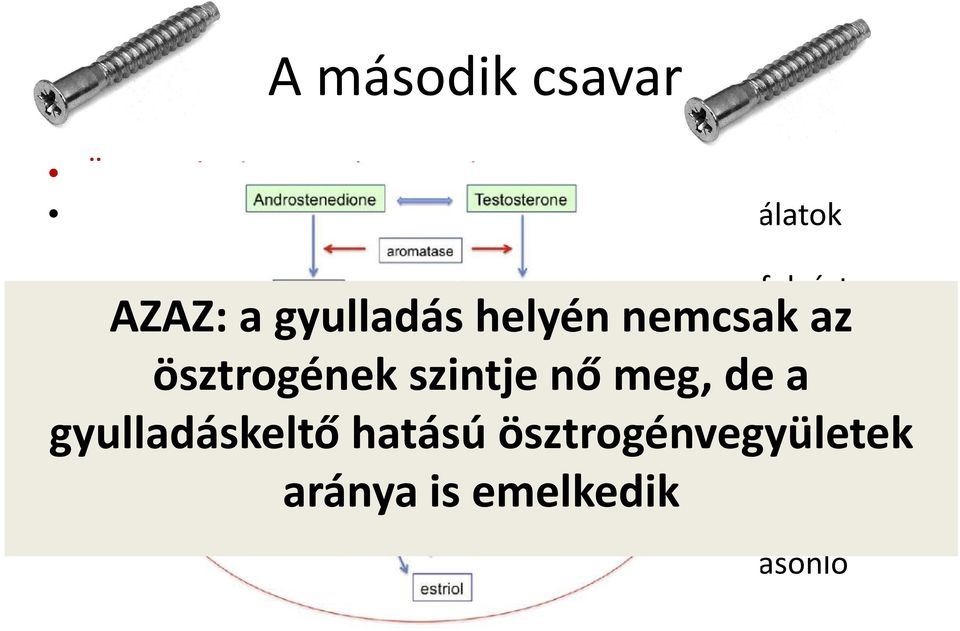 helyén nemcsak az Különböző ösztrogének ösztrogén-metabolitokeltérő szintje nő meg, hatást de gyakorolnak a a gyulladásra.