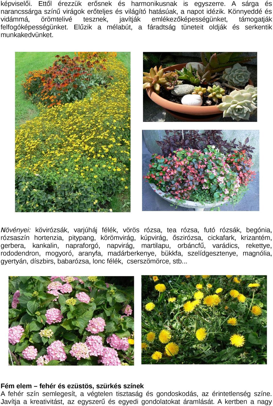 Növényei: kövirózsák, varjúháj félék, vörös rózsa, tea rózsa, futó rózsák, begónia, rózsaszín hortenzia, pitypang, körömvirág, kúpvirág, őszirózsa, cickafark, krizantém, gerbera, kankalin,