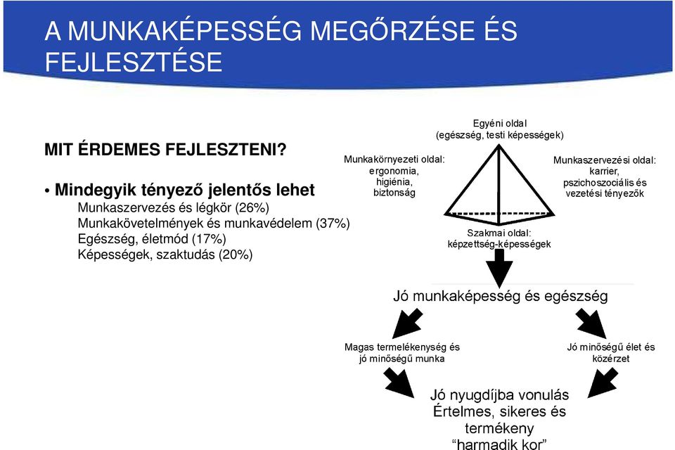 Munkaszervezés és légkör (26%)