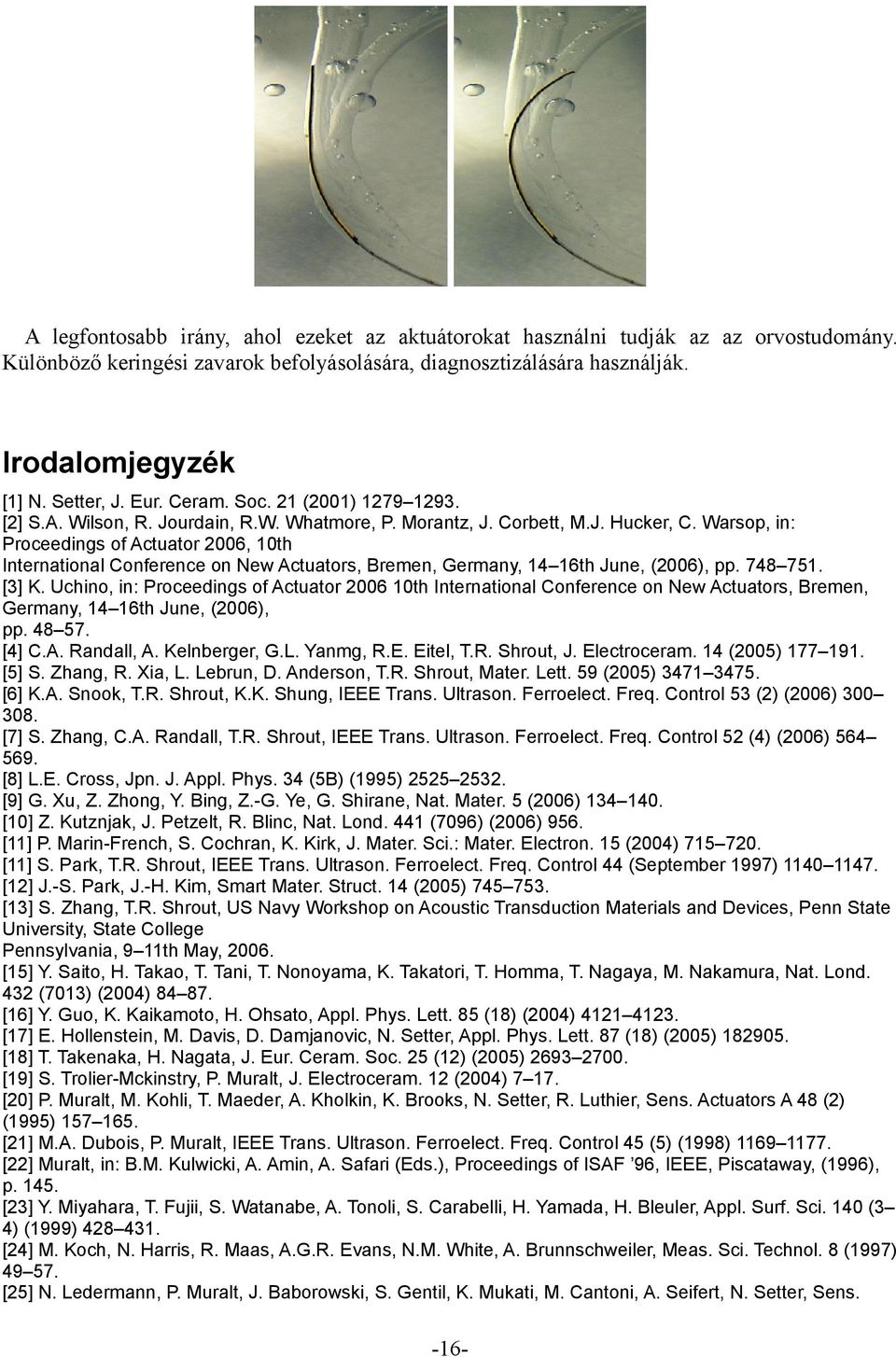 Warsop, in: Proceedings of Actuator 2006, 10th International Conference on New Actuators, Bremen, Germany, 14 16th June, (2006), pp. 748 751. [3] K.