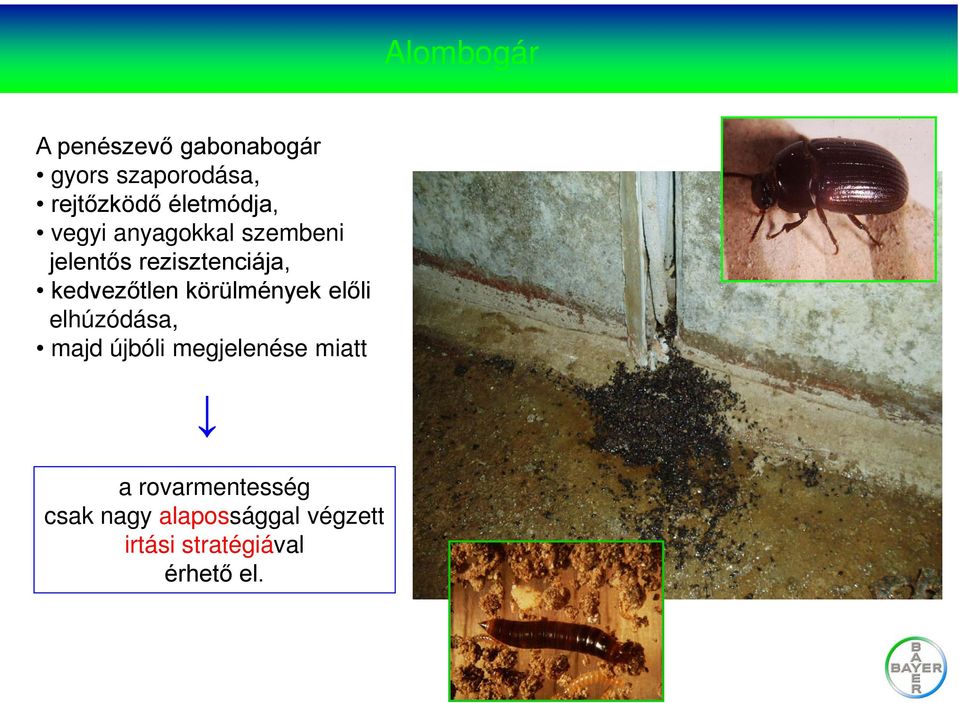 körülmények előli elhúzódása, majd újbóli megjelenése miatt a