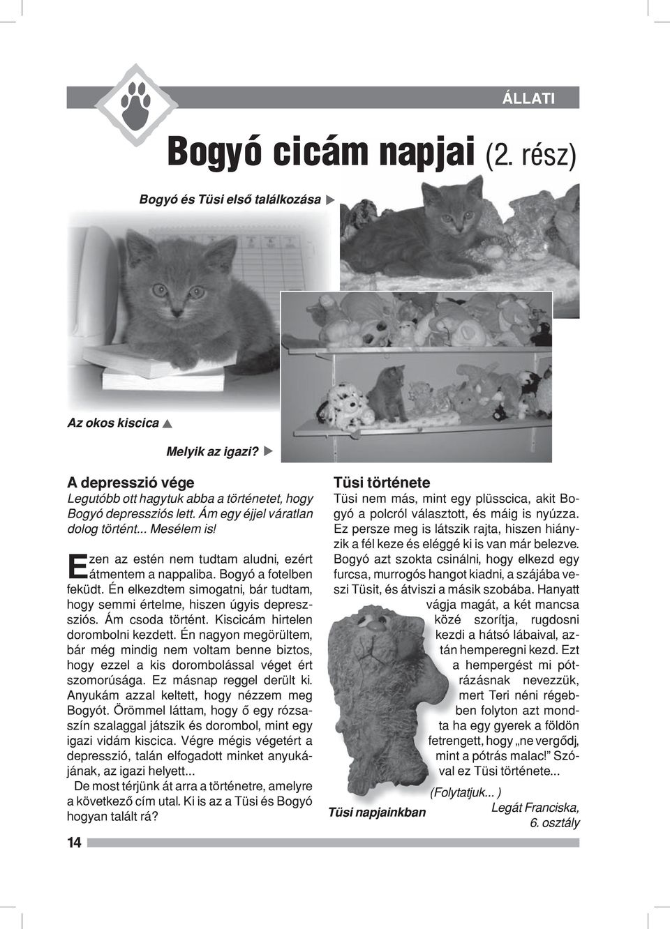 Én elkezdtem simogatni, bár tudtam, hogy semmi értelme, hiszen úgyis depreszsziós. Ám csoda történt. Kiscicám hirtelen dorombolni kezdett.