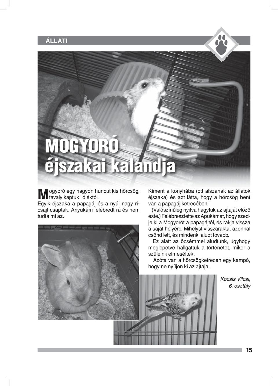 (Valószínűleg nyitva hagytuk az ajtaját előző este.) Felébresztette az Apukámat, hogy szedje ki a Mogyorót a papagájtól, és rakja vissza a saját helyére.