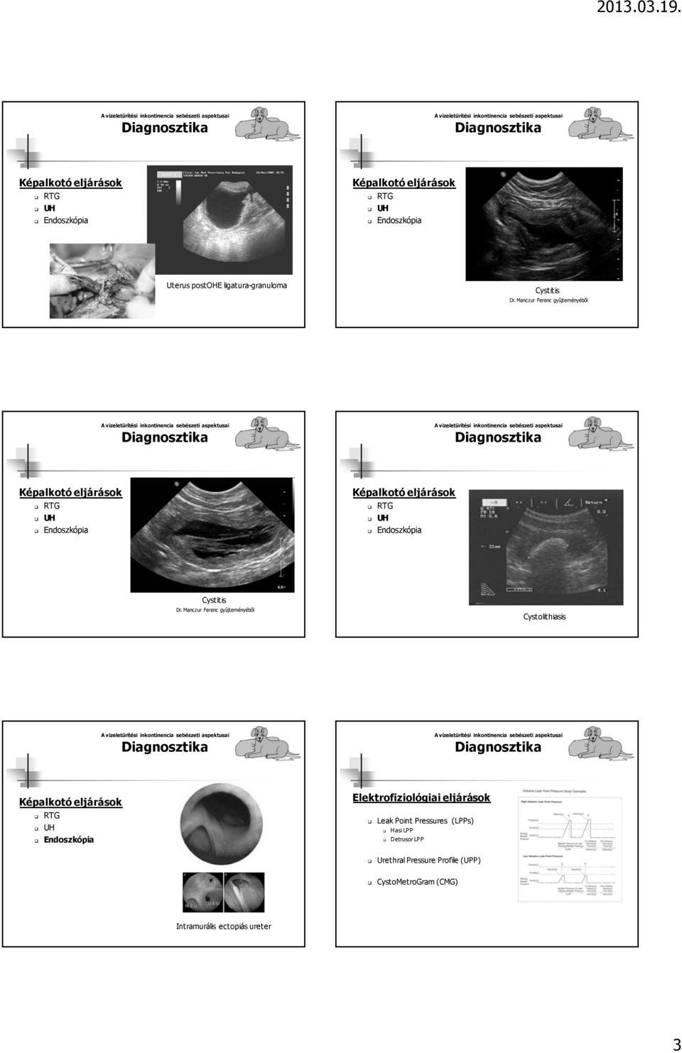 Manczur Ferenc gyűjteményéből Cystolithiasis Elektrofiziológiai eljárások