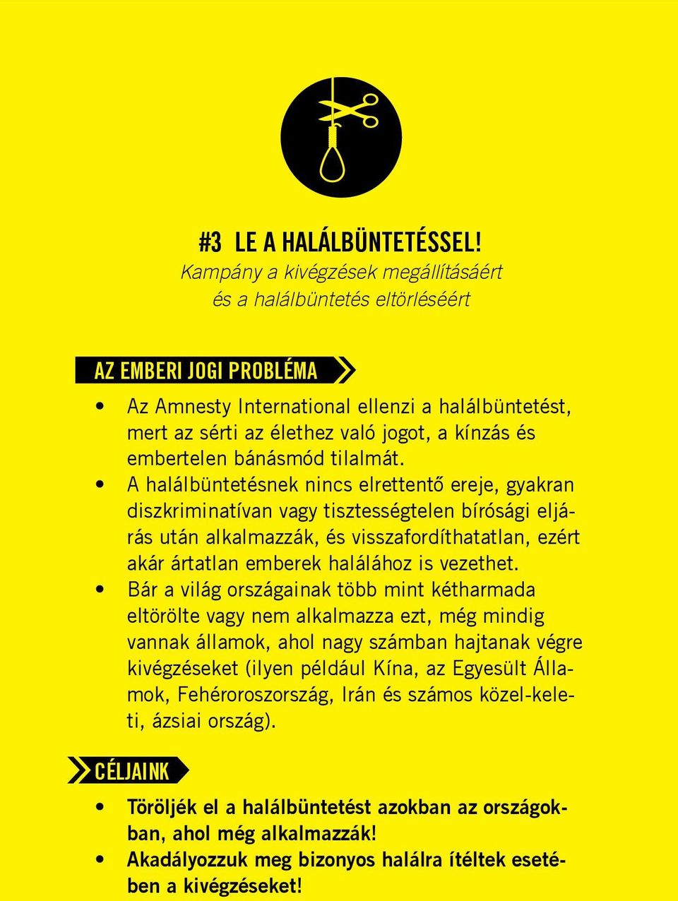 A halálbüntetésnek nincs elrettentő ereje, gyakran diszkriminatívan vagy tisztességtelen bírósági eljárás után alkalmazzák, és visszafordíthatatlan, ezért akár ártatlan emberek halálához is vezethet.