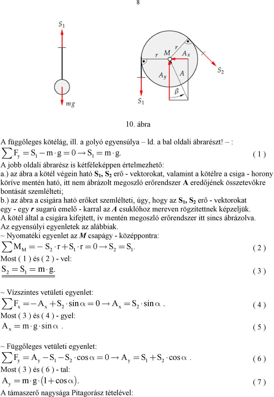 A csigáról és annak működéséről - PDF Ingyenes letöltés