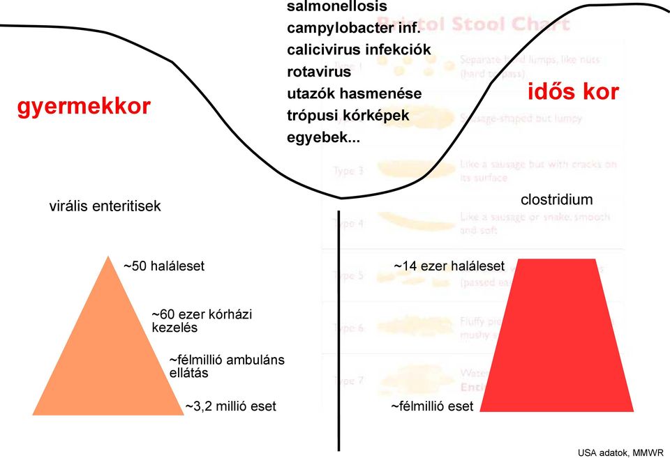 .. idős kor virális enteritisek clostridium ~50 haláleset ~14 ezer