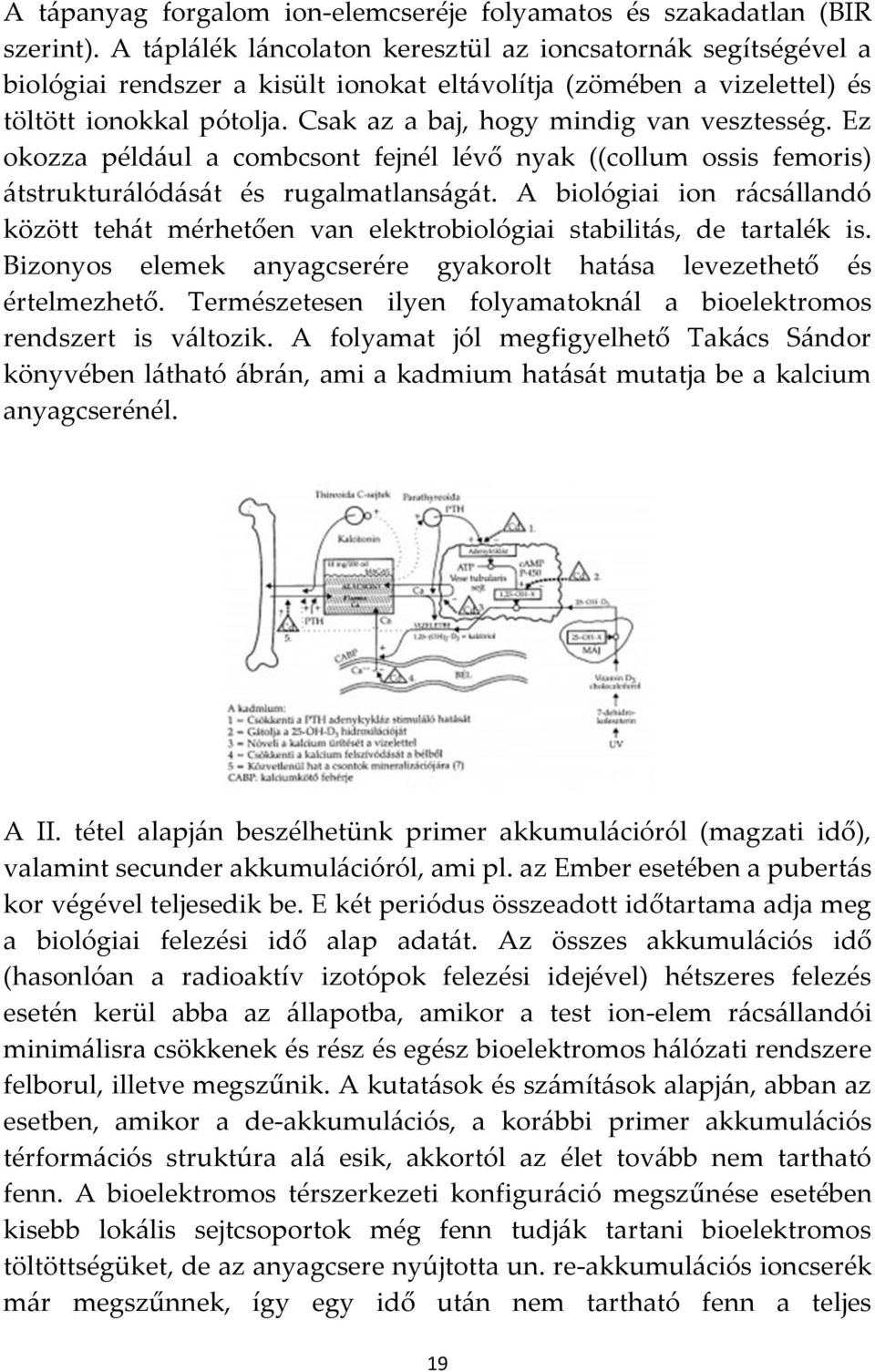 Csak az a baj, hogy mindig van vesztesség. Ez okozza péld{ul a combcsont fejnél lévő nyak ((collum ossis femoris) {tstruktur{lód{s{t és rugalmatlans{g{t.