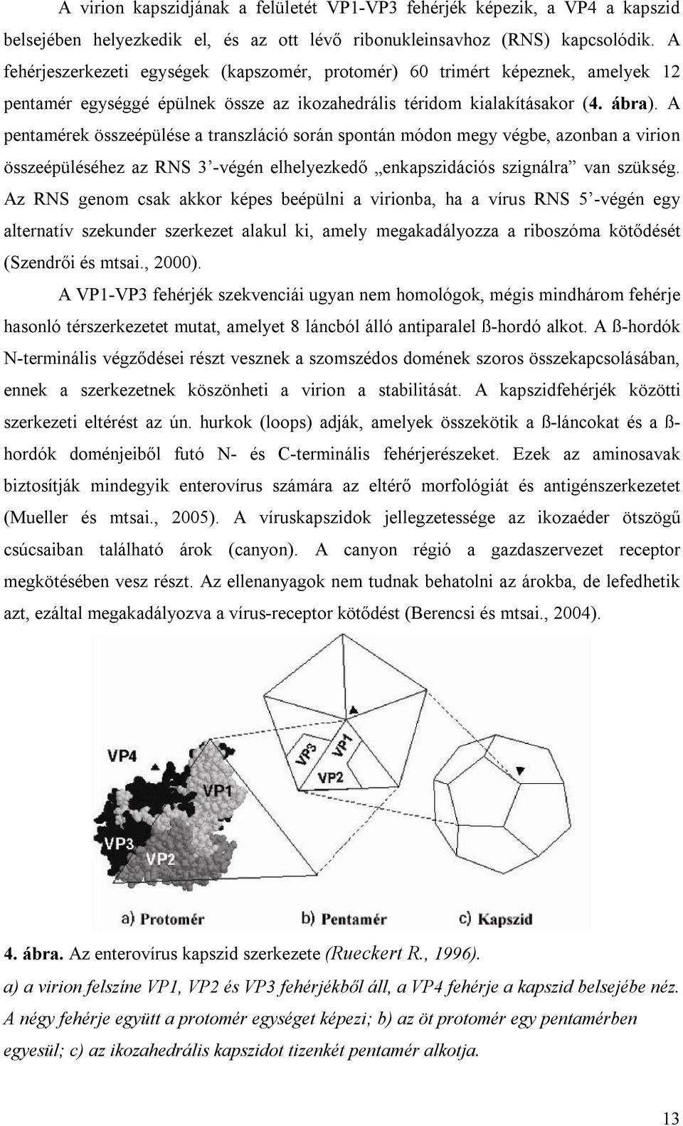 A pentamérek összeépülése a transzláció során spontán módon megy végbe, azonban a virion összeépüléséhez az RNS 3 -végén elhelyezkedő enkapszidációs szignálra van szükség.