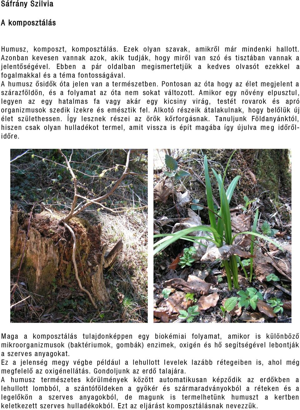 A humusz ősidők óta jelen van a természetben. Pontosan az óta hogy az élet megjelent a szárazföldön, és a folyamat az óta nem sokat változott.