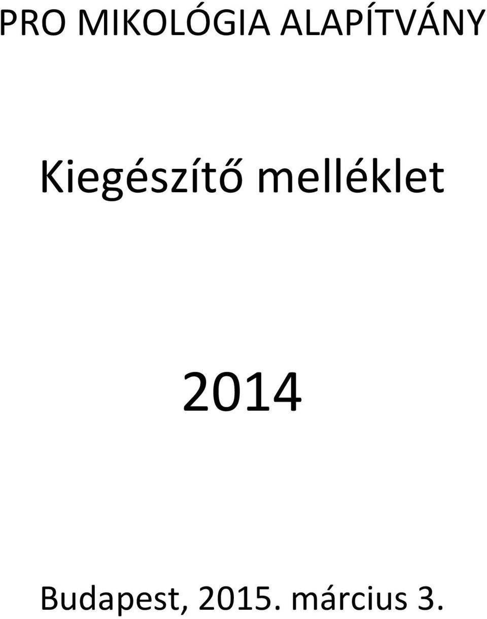 Kiegészítő