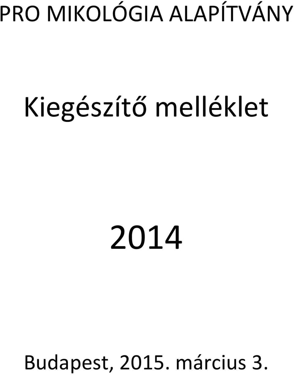 Kiegészítő