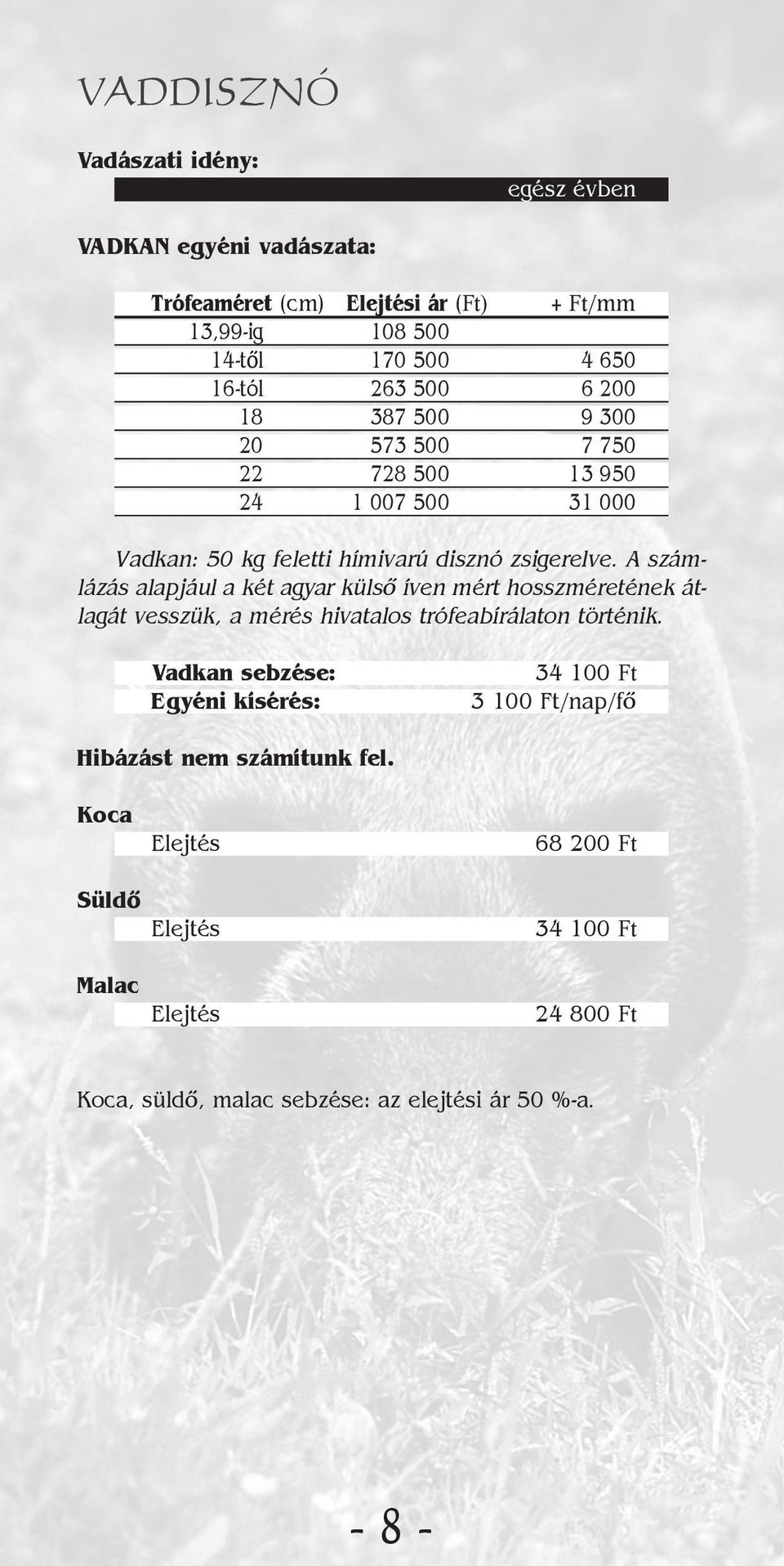 A számlázás alapjául a két agyar külsõ íven mért hosszméretének átlagát vesszük, a mérés hivatalos trófeabírálaton történik.