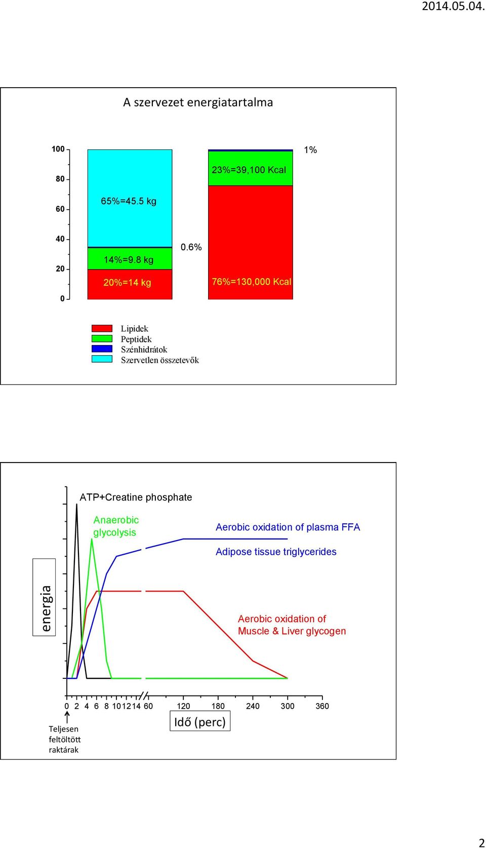 glycolysis Aerobic oxidation of plasma FFA Adipose tissue triglycerides Energy Source energia Aerobic