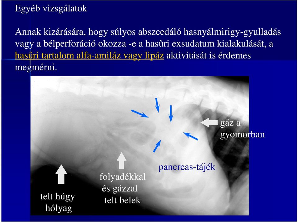 kialakulását, a hasőri tartalom alfa-amiláz vagy lipáz aktivitását is