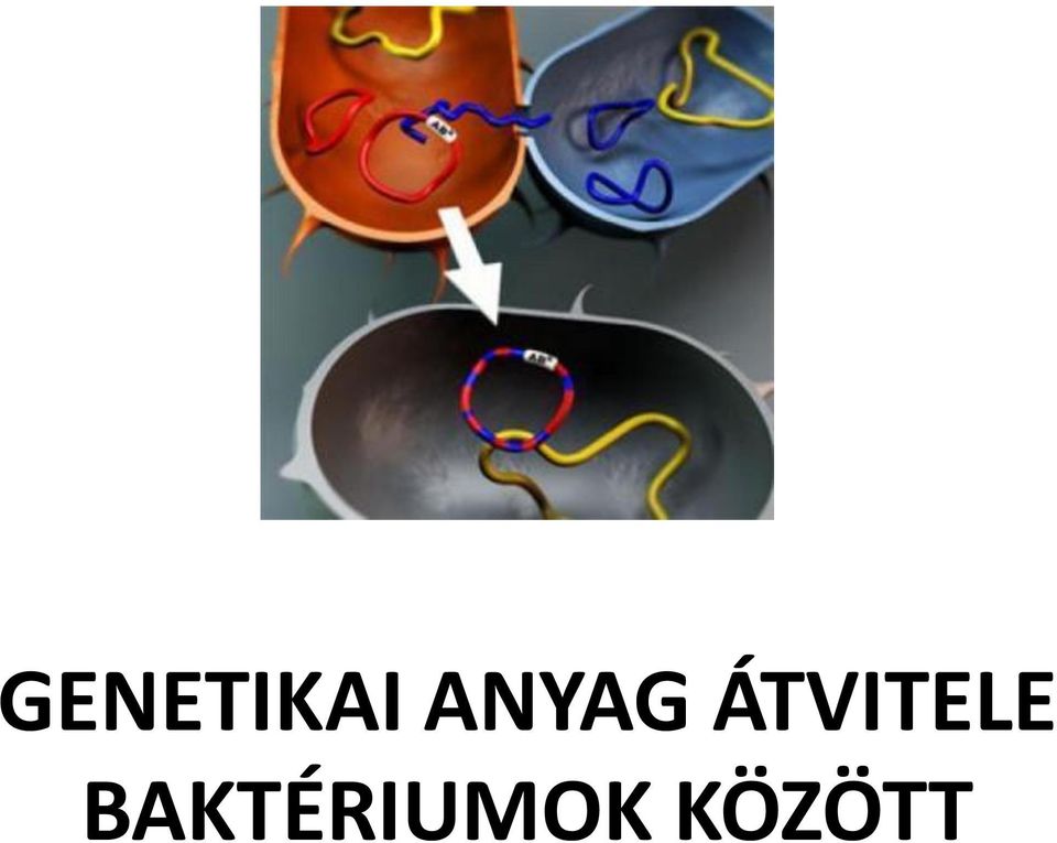ÁTVITELE