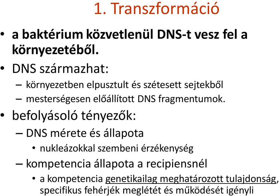 fragmentumok.