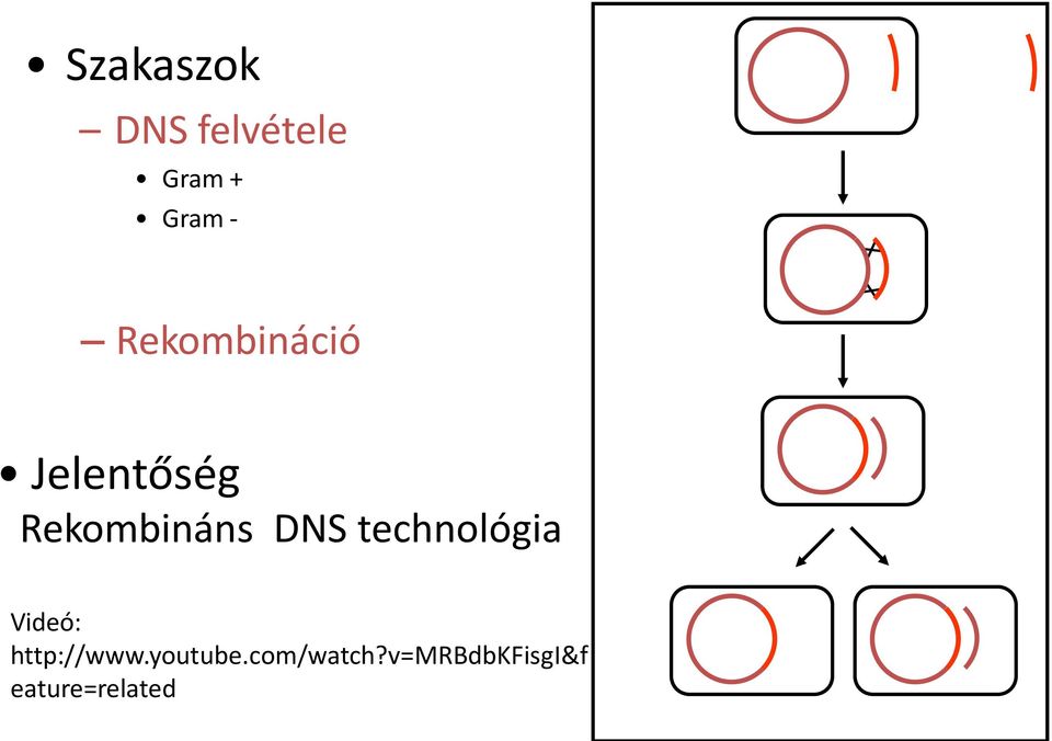 DNS technológia Videó: http://www.