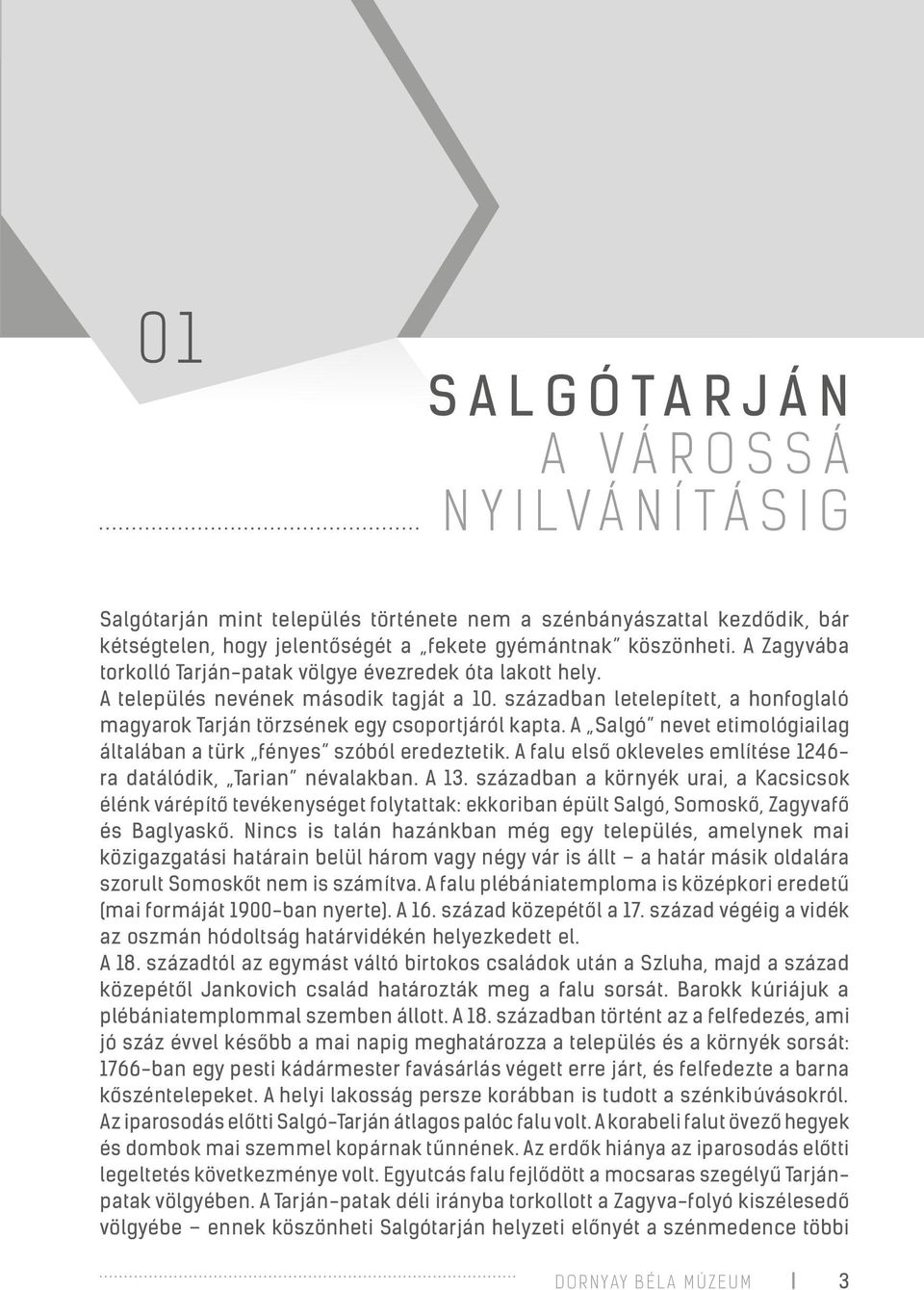 A Salgó nevet etimológiailag általában a türk fényes szóból eredeztetik. A falu első okleveles említése 1246- ra datálódik, Tarian névalakban. A 13.