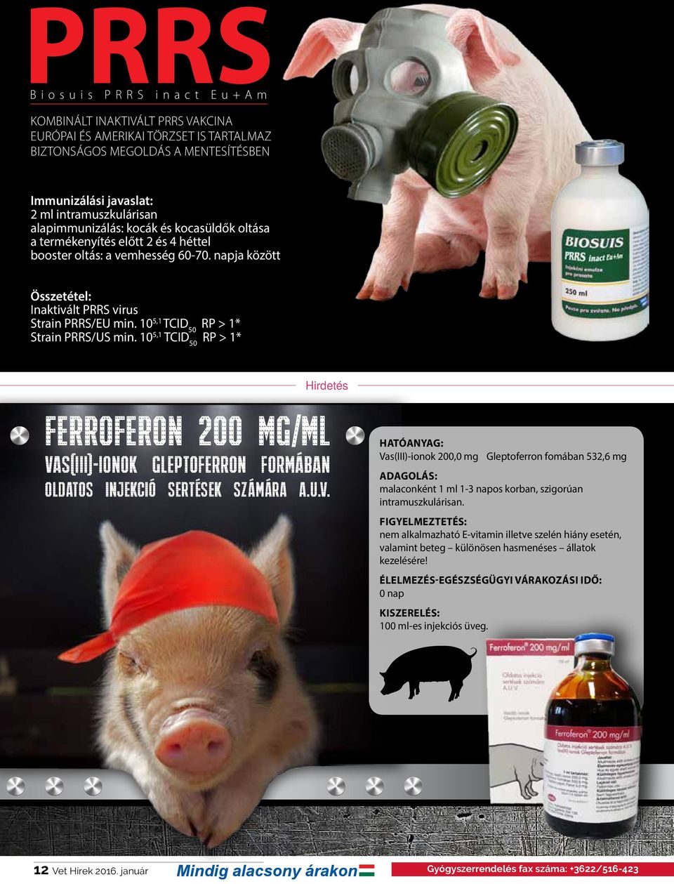 10 5,1 TCID 50 RP > 1* Strain PRRS/US min. 10 5,1 TCID 50 RP > 1* Hirdetés Ferroferon 200 mg/ml Va