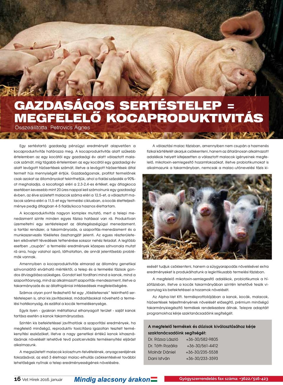 illetve a levágott hízósertések által termelt hús mennyiségét értjük.