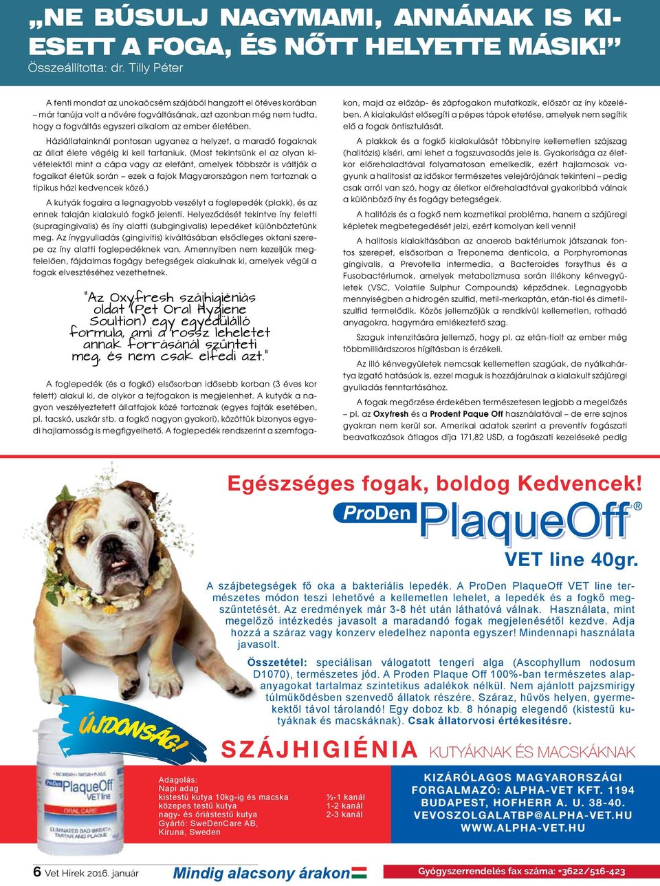 Háziállatainknál pontosan ugyanez a helyzet, a maradó fogaknak az állat élete végéig ki kell tartaniuk.