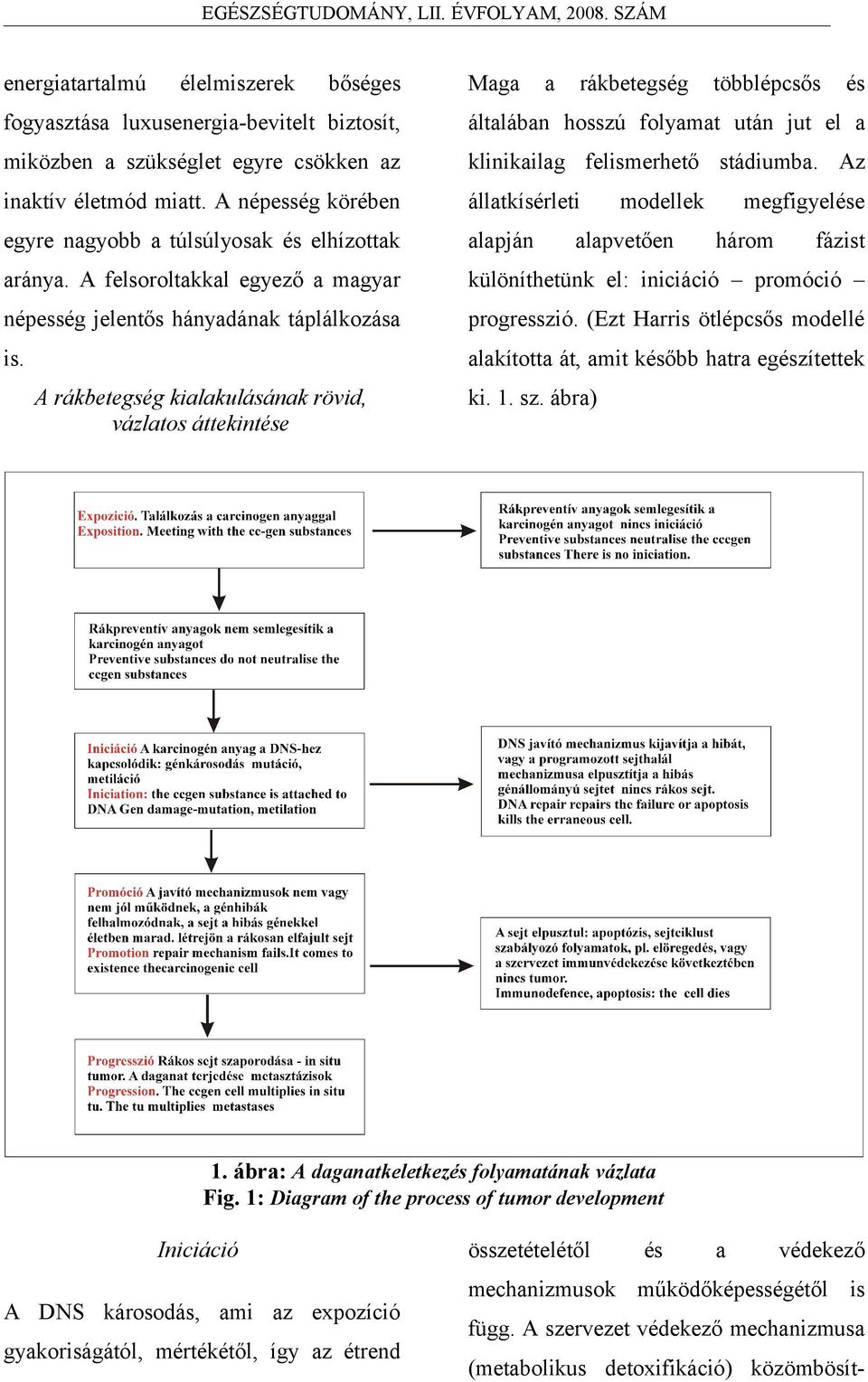 promóció népesség jelentős hánydánk táplálkozás progresszió (Ezt Hrris ötlépcsős modellé is lkított át, mit kőbb htr egzítettek rákbetegség kilkulásánk rövid, vázltos áttekinte modellek lpvetően