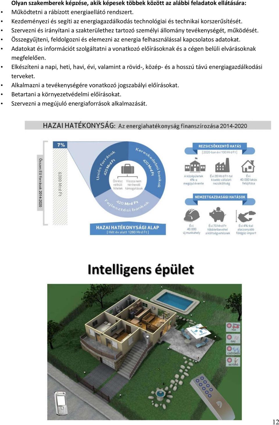 Összegyűjteni, feldolgozni és elemezni az energia felhasználással kapcsolatos adatokat. Adatokat és információt szolgáltatni a vonatkozó előírásoknak és a cégen belüli elvárásoknak megfelelően.