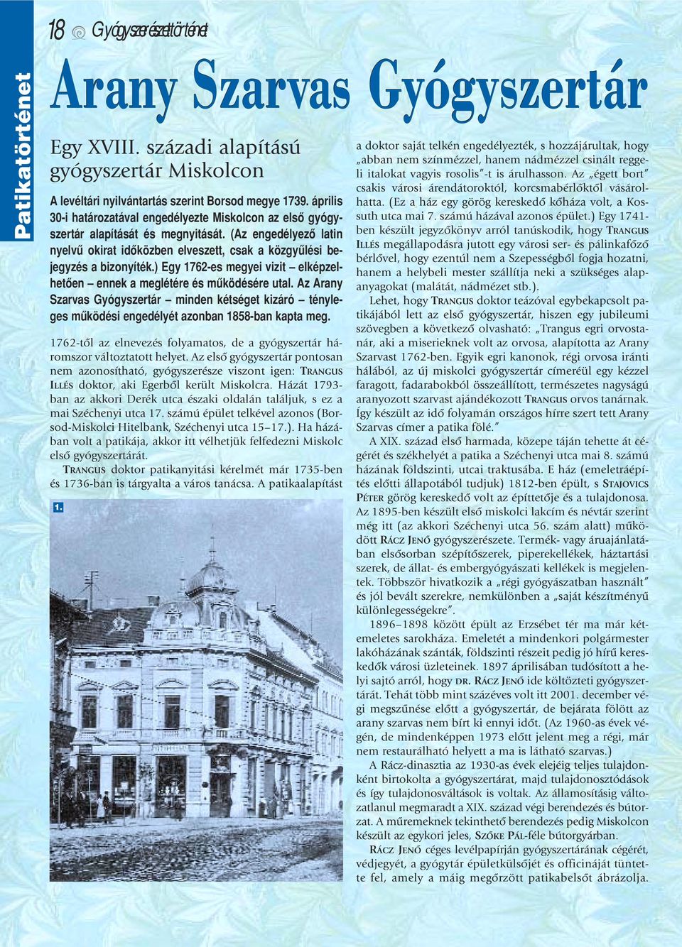 ) Egy 1762-es megyei vizit elképzelhetôen ennek a meglétére és mûködésére utal. Az Arany Szarvas Gyógyszertár minden kétséget kizáró tényleges mûködési engedélyét azonban 1858-ban kapta meg.